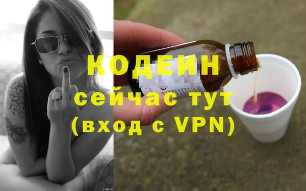 гашик Горняк
