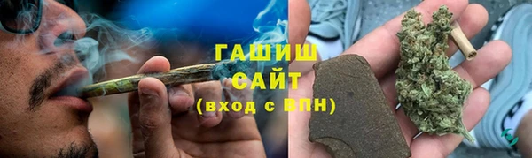 PSILOCYBIN Горно-Алтайск