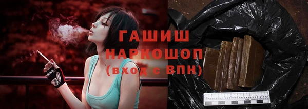 PSILOCYBIN Горно-Алтайск