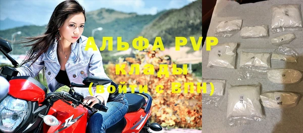 гашик Горняк