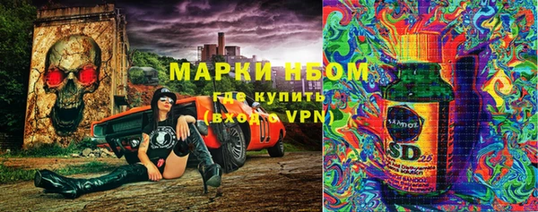 PSILOCYBIN Горно-Алтайск