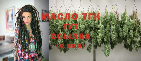 сатива Горнозаводск