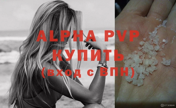 PSILOCYBIN Горно-Алтайск