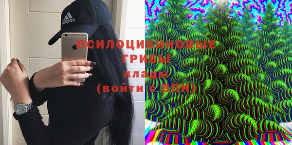 сатива Горнозаводск