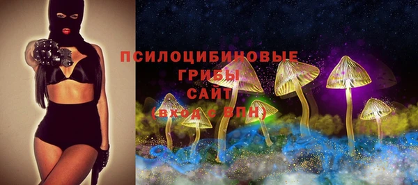 сатива Горнозаводск