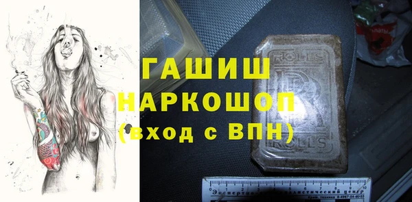 гашик Горняк