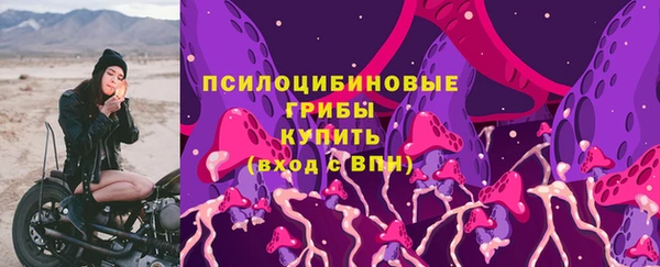 PSILOCYBIN Горно-Алтайск